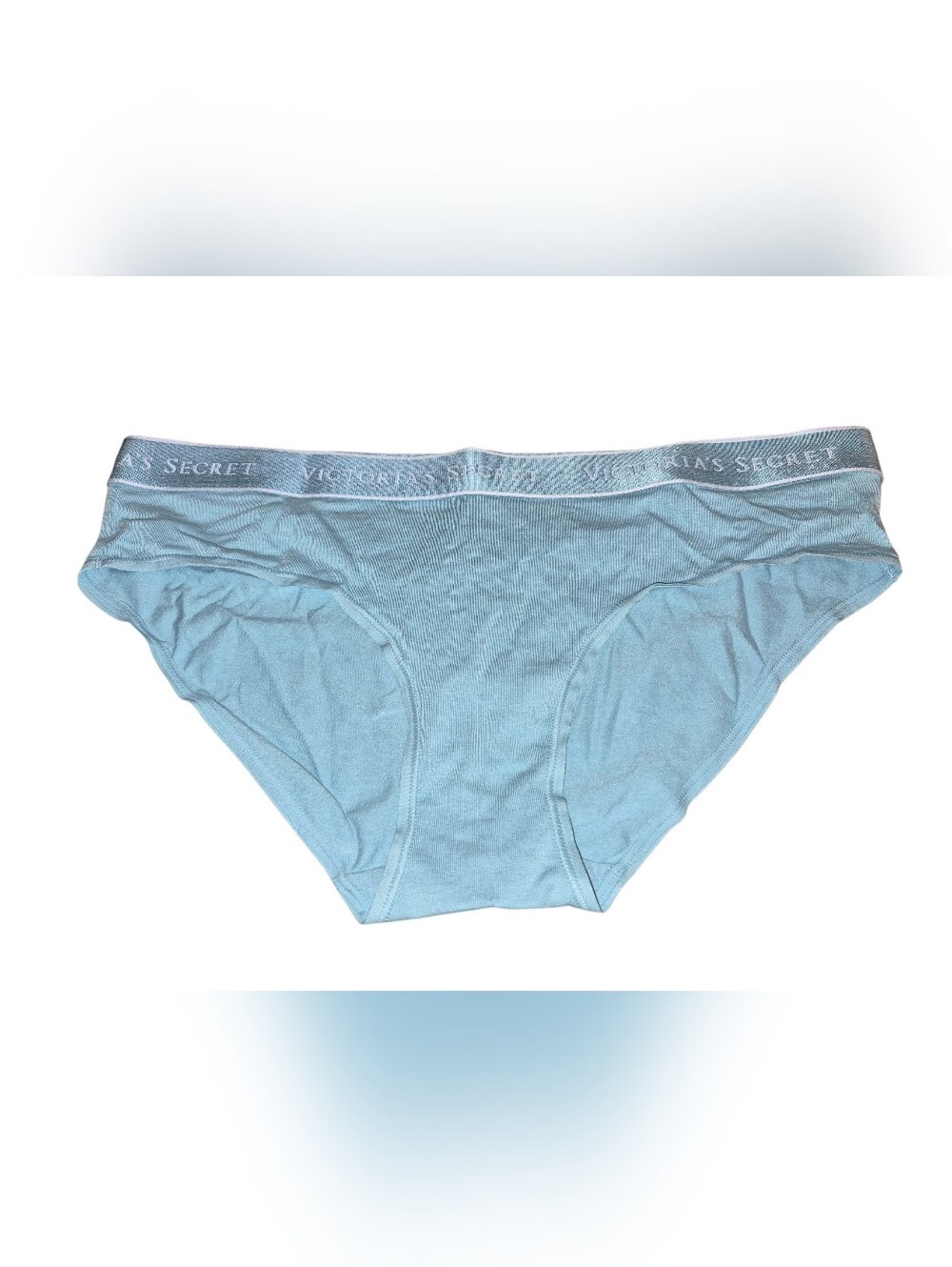 Victoria's Secret Pale Blue Women's  Hipster with Branded Waistband Size L (NWT)